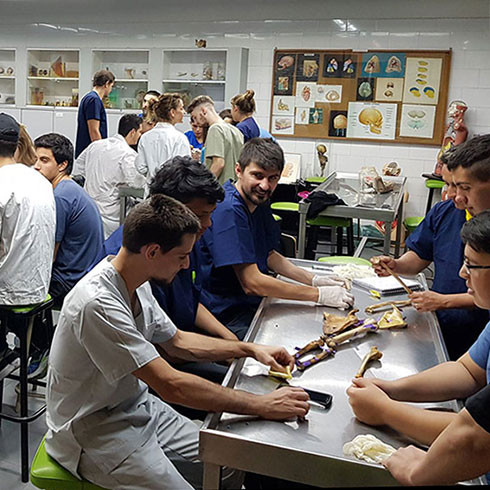 Physiotherapy students in Argentina