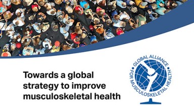Report: Towards a global strategy to improve musculoskeletal health